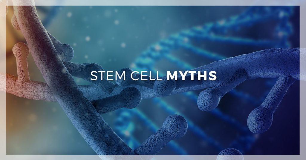 stem cell myths